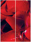 S 2037.jpg