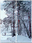 S 2033.jpg