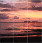 S 3041.jpg