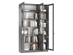 Книжный шкаф Ньютон 11.1