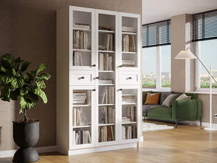 Книжный шкаф Ньютон 3.10