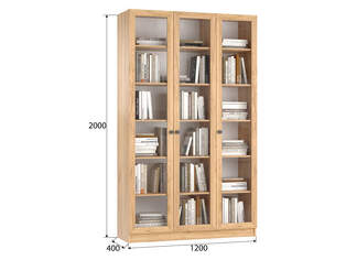 Книжный шкаф Ньютон 3.1