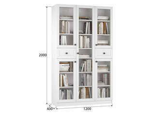 Книжный шкаф Ньютон 3.10