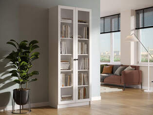 Книжный шкаф Ньютон 2.1