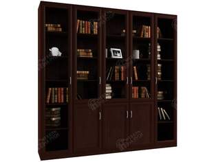 Книжный шкаф  Гала 5.3