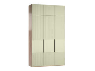 Шкаф распашной Тайлер 2