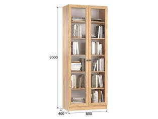 Книжный шкаф Ньютон 2.1