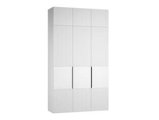 Шкаф распашной Тайлер 2