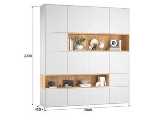 Шкаф распашной Рокки 10