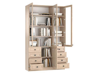 Книжный шкаф Ньютон 3.9