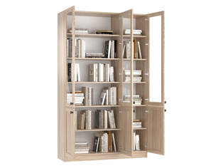Книжный шкаф Ньютон 3.3