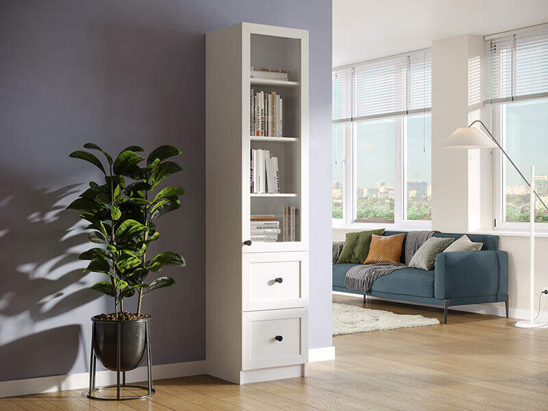 Шкаф пенал Ньютон 4