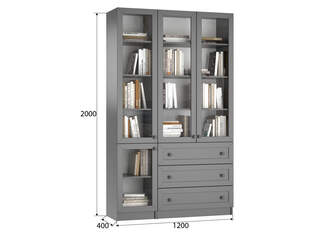 Книжный шкаф Ньютон 12.1