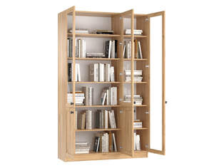 Книжный шкаф Ньютон 11.1