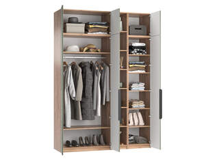 Шкаф распашной Тайлер 3