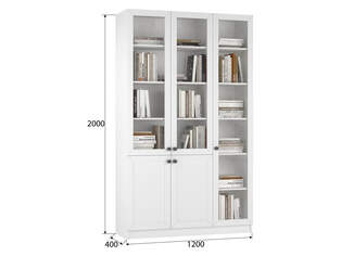 Книжный шкаф Ньютон 11.1