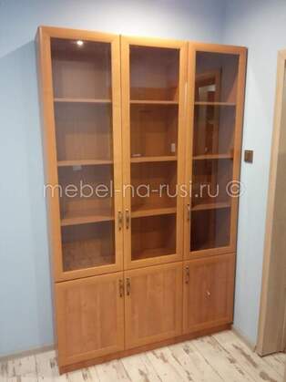 Книжный шкаф  Библиограф 3.3