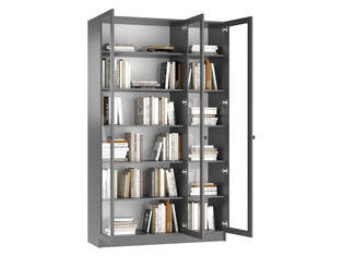 Книжный шкаф Ньютон 3.1