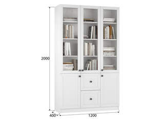 Книжный шкаф Ньютон 3.4