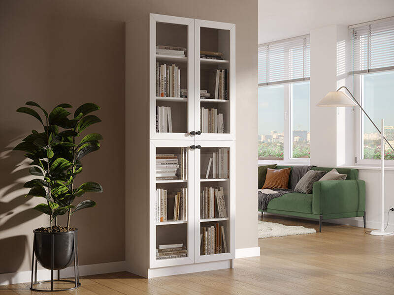 Книжный шкаф Ньютон 2.2