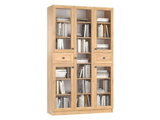 Книжный шкаф Ньютон 3.10