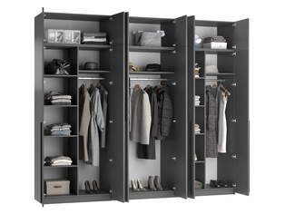 Шкаф распашной Лорена Пакс 12