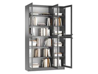 Книжный шкаф Ньютон 3.2