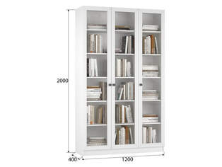 Книжный шкаф Ньютон 3.1