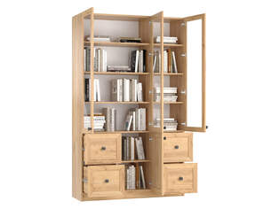 Книжный шкаф Ньютон 3.5