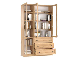 Книжный шкаф Ньютон 12.1