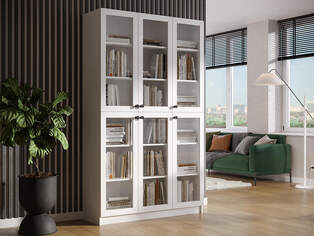 Книжный шкаф Ньютон 3.2