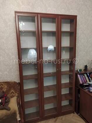 Книжный шкаф  Библиограф 3.1
