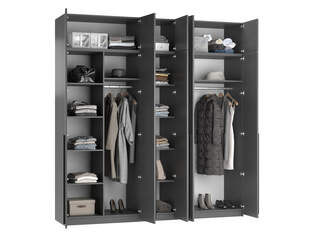 Шкаф распашной Лорена Пакс 10