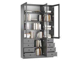 Книжный шкаф Ньютон 3.9