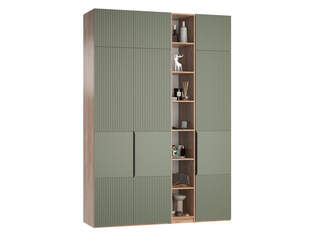 Шкаф распашной Тайлер 3