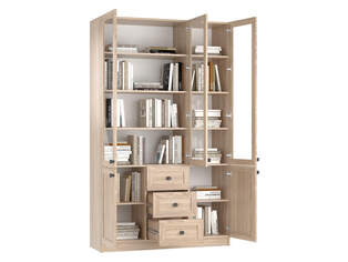 Книжный шкаф Ньютон 3.6