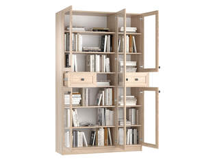 Книжный шкаф Ньютон 3.10