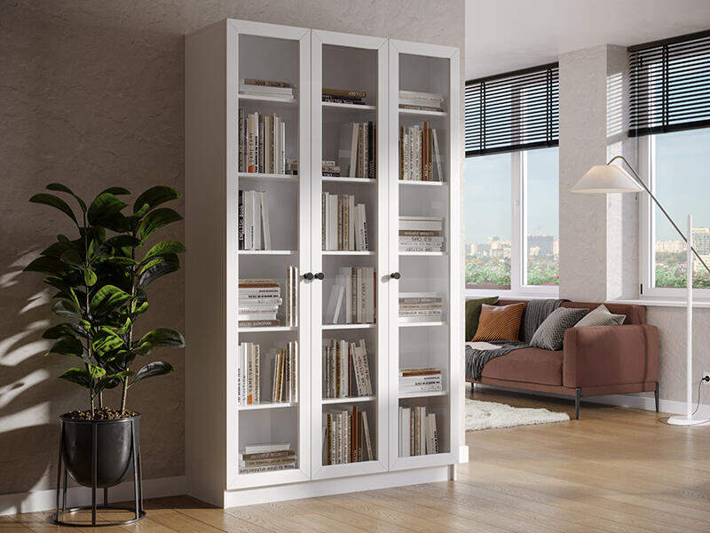 Книжный шкаф Ньютон 3.1