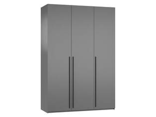 Шкаф распашной Лорена Пакс 3