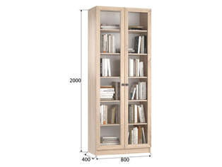 Книжный шкаф Ньютон 2.1