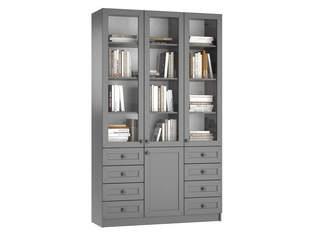 Книжный шкаф Ньютон 3.9