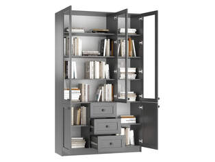 Книжный шкаф Ньютон 3.6