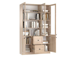 Книжный шкаф Ньютон 3.4