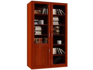 Книжный шкаф  Гала 2.1 