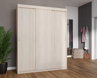 Шкаф купе Эко 3 П22238