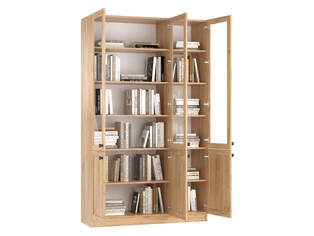 Книжный шкаф Ньютон 3.3