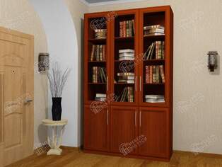 Книжный шкаф  Библиограф 3.3